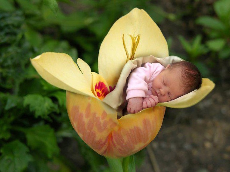 Phá thai: Một góc nhìn Phật giáo